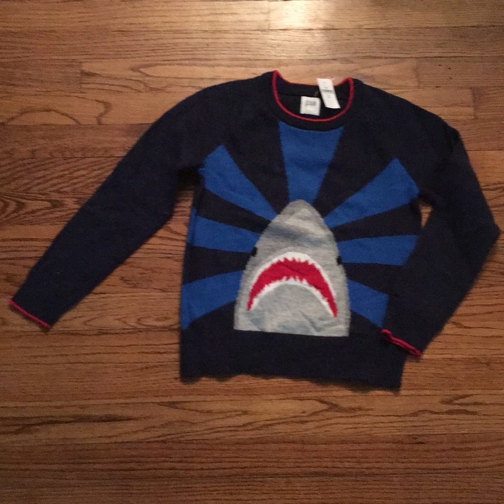 Gap Snark Sweater - boys Medium (8-9)